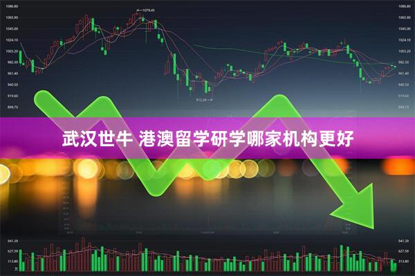 武汉世牛 港澳留学研学哪家机构更好