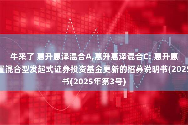 牛来了 惠升惠泽混合A,惠升惠泽混合C: 惠升惠泽灵活配置混合型发起式证券投资基金更新的招募说明书(2025年第3号)