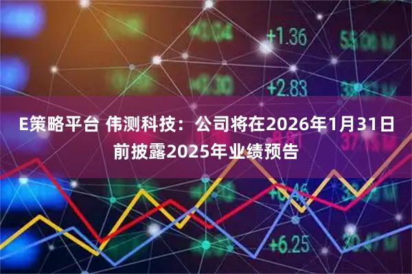 E策略平台 伟测科技：公司将在2026年1月31日前披露2025年业绩预告